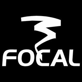 mini-FOCAL